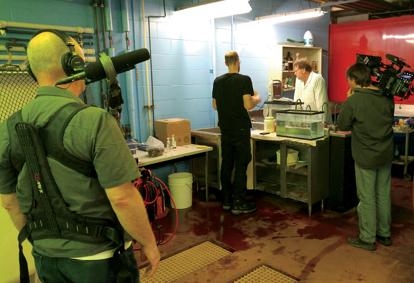 Documentary Crew filming Chris Harvey Clark in his Lab at Dalhousie - photo 20