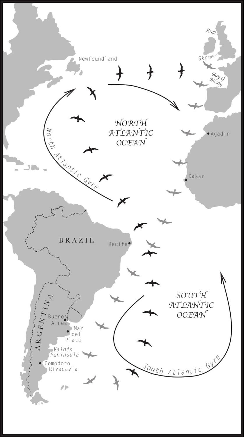 2 The Atlantic Ocean showing gyres and migration routes Chapter 7 xvi - photo 3