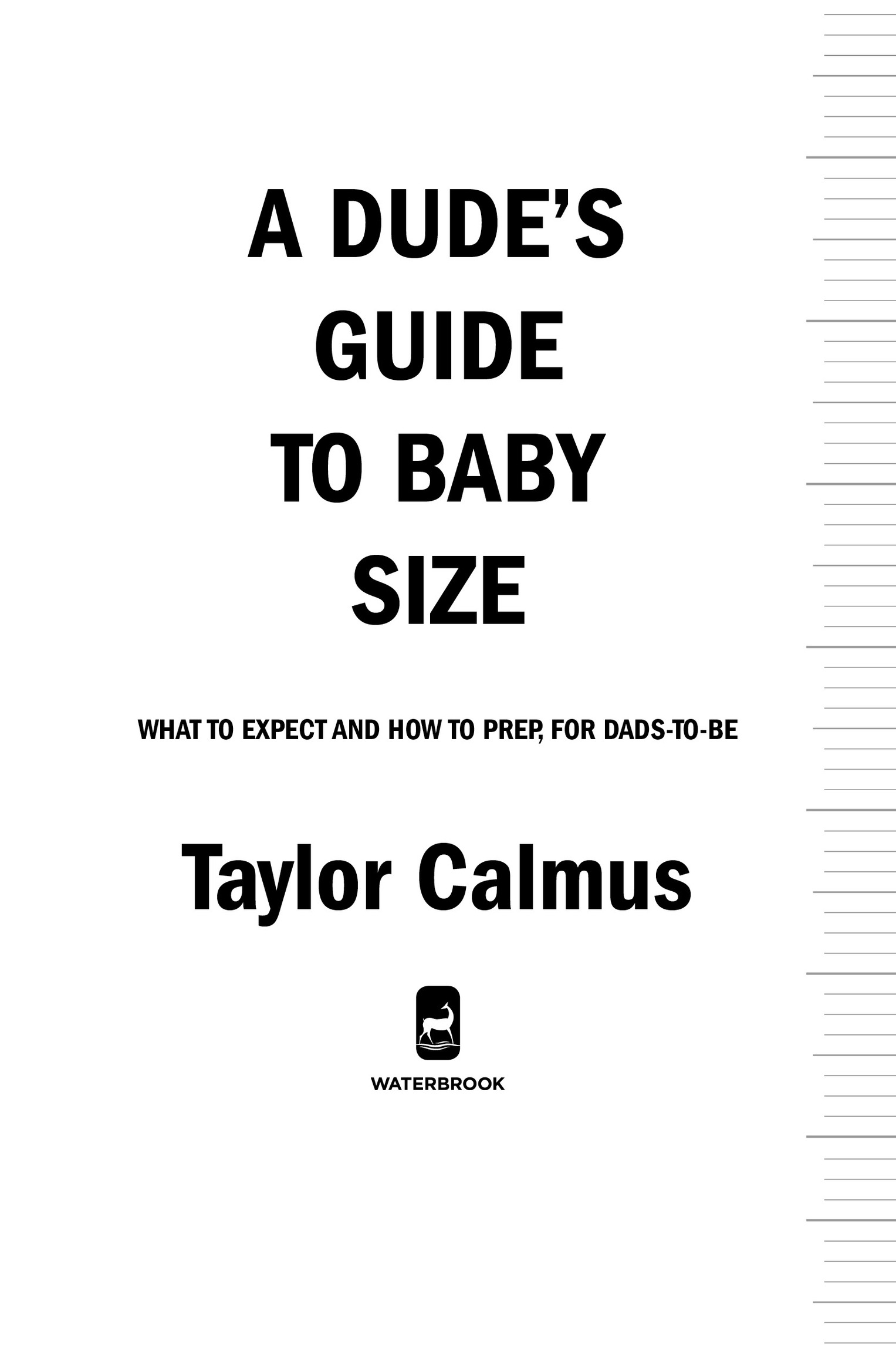A Dudes Guide to Baby Size No book can replace the diagnostic expertise and - photo 2