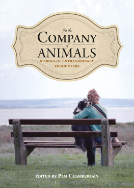 Pam Chamberlain In the Company of Animals: Stories of Extraordinary Encounters