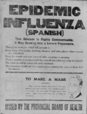 B EFORE SARS AND THE new coronavirus Spanish flu - caused by the H1N1 virus - - photo 8
