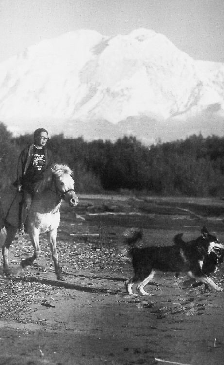 Map Lilja Julie and the dog team at the Birch Cabin on the trapline - photo 2