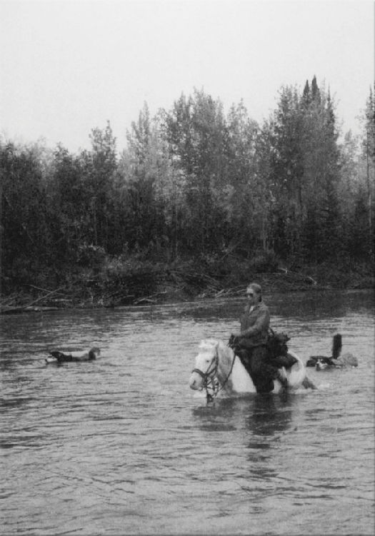 Streak and Comet swim across the river by the Birch Cabin while Miki rides - photo 5