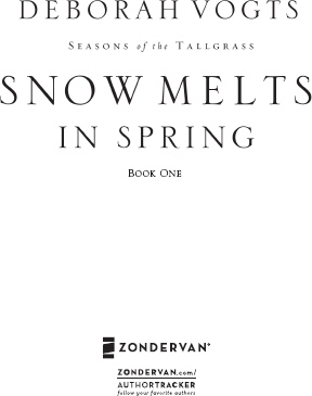 ZONDERVAN SNOW MELTS IN SPRING Copyright 2009 by Deborah Vogts All - photo 2