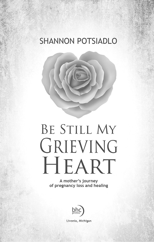 Edited by Lana King BE STILL MY GRIEVING HEART Copyright 2020 Shannon - photo 2