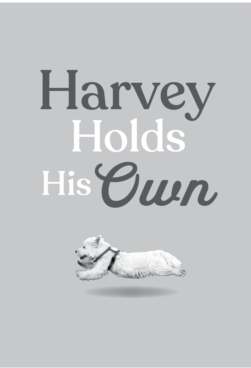 Praise for Harvey Comes Home This gently paced character-driven narrative - photo 2