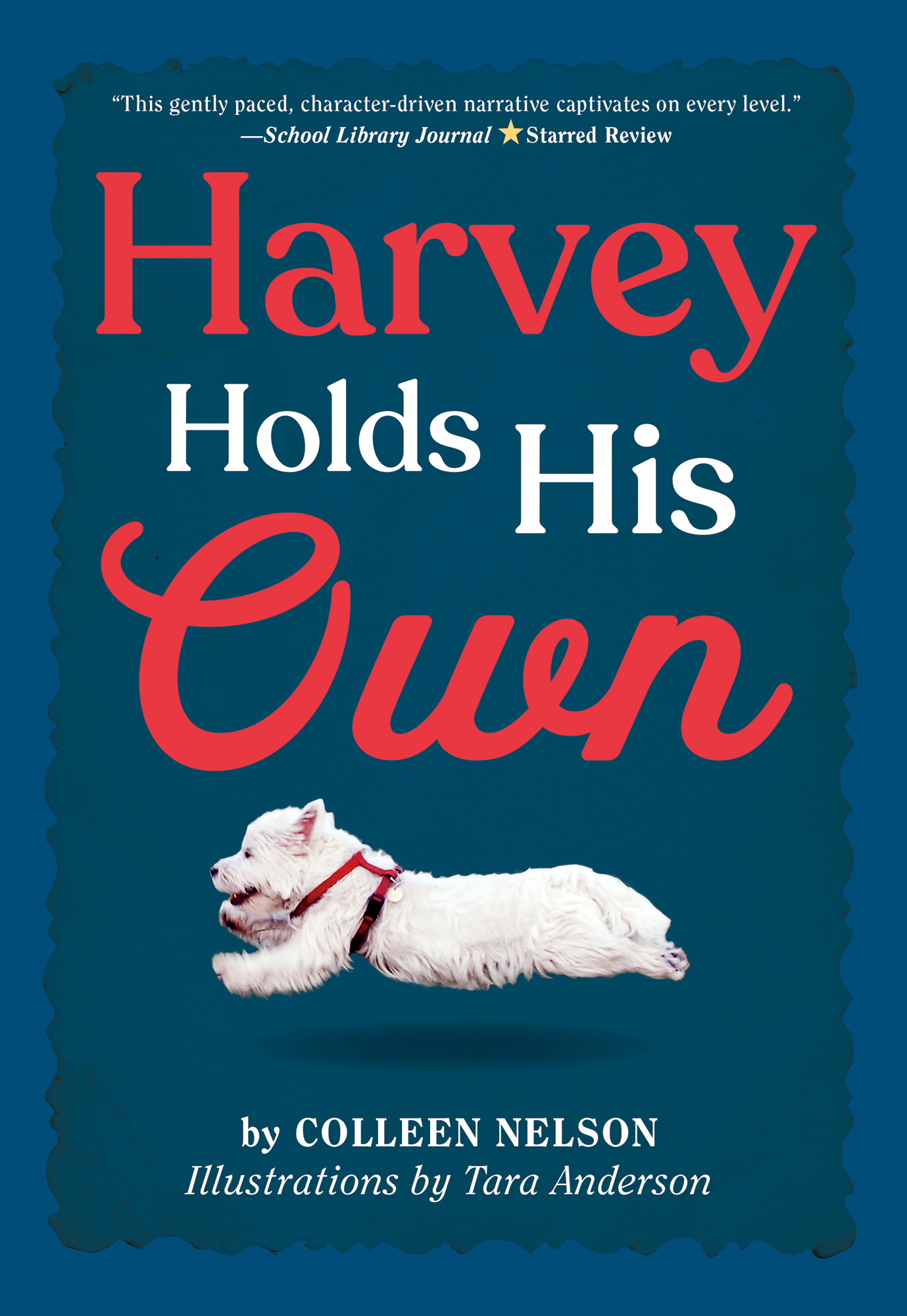 Praise for Harvey Comes Home This gently paced character-driven narrative - photo 1