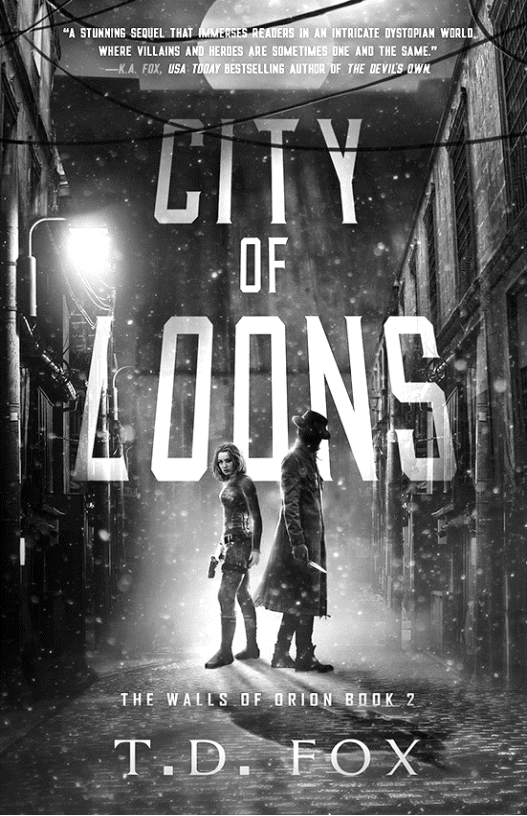 City of Loons - image 1