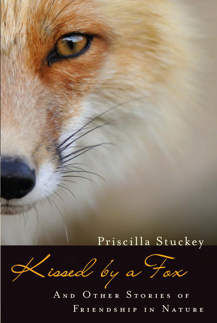 Kissed by a Fox Kissed by a Fox AND OTHER STORIES OF FRIENDSHIP IN NATURE - photo 1