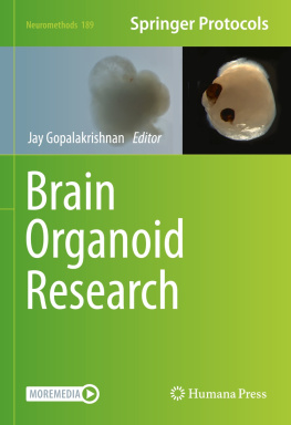 Jay Gopalakrishnan Brain Organoid Research