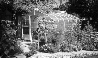 The real greenhouse effect can enhance your yard and your life worries - photo 1