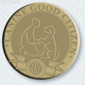 The American Kennel Club Canine Good Citizen CGC Program is the answer to the - photo 5