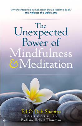 Ed Shapiro - The Unexpected Power of Mindfulness and Meditation