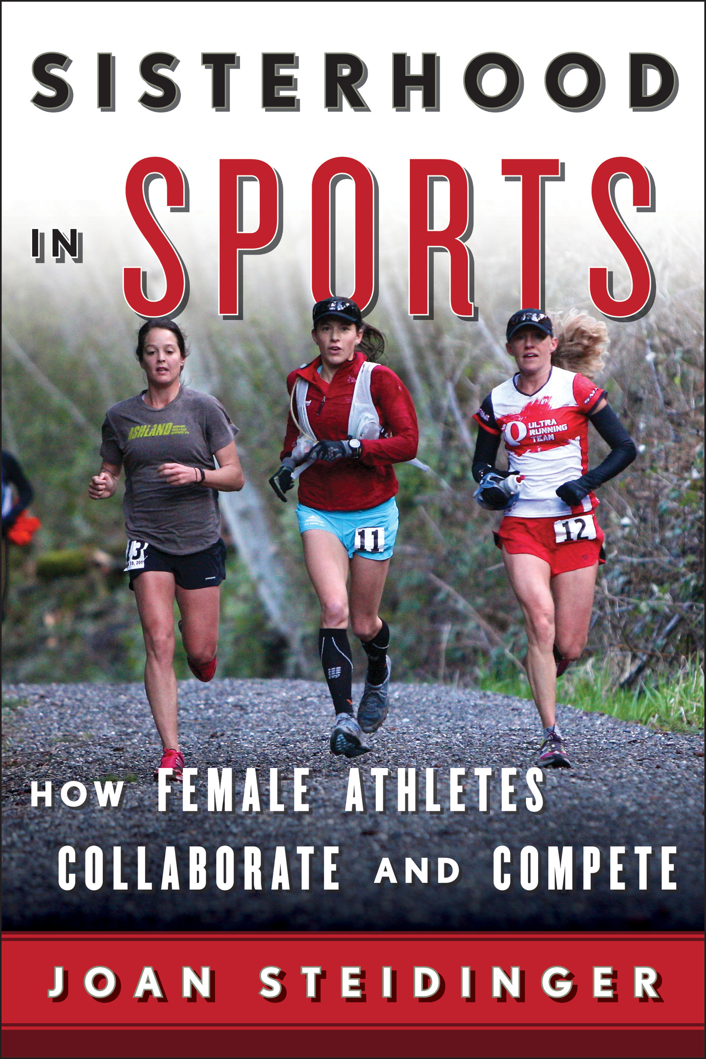 Authors Notes Twenty years in the unfolding Sisterhood in Sports made for an - photo 2