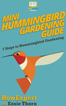 HowExpert Mini Hummingbird Gardening Guide: 7 Steps to Hummingbird Gardening