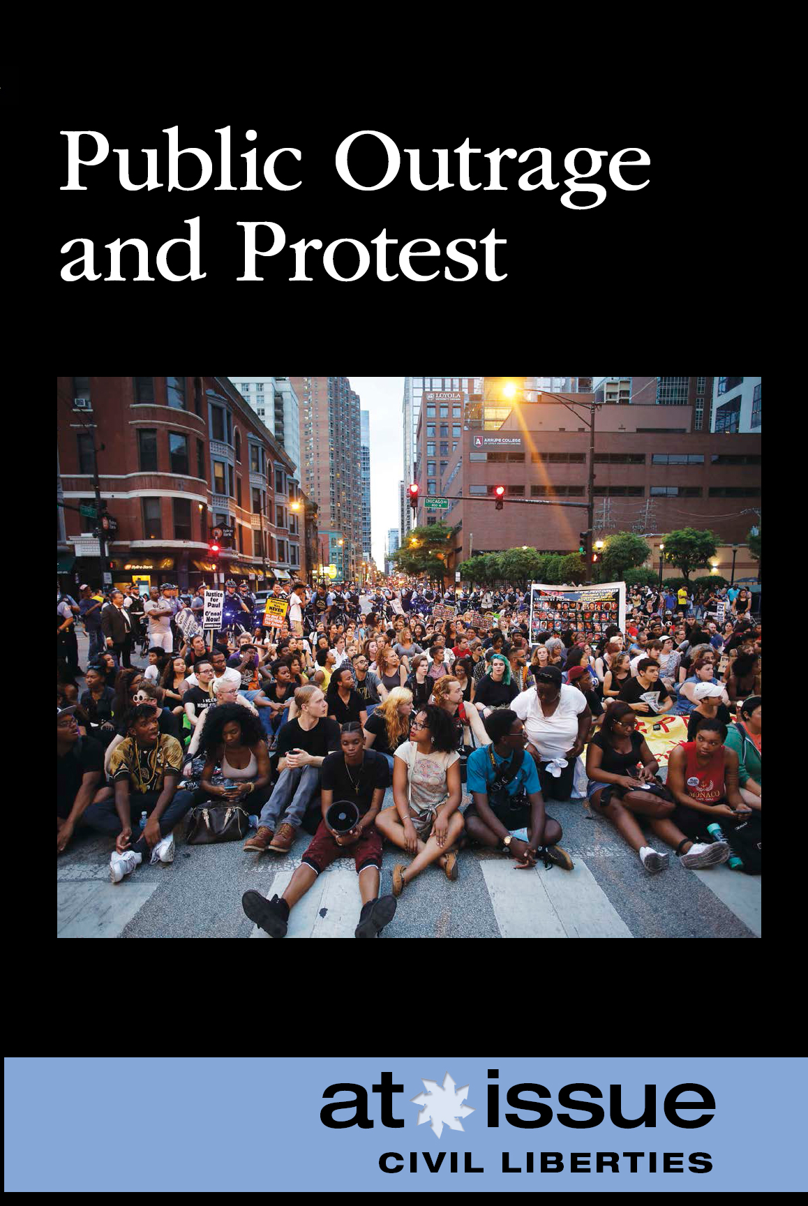 Public Outrage and Protest Other Books in the At Issue Series Americas - photo 1