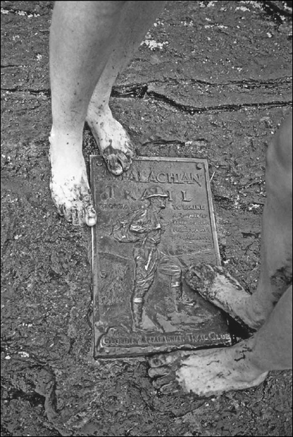 The Barefoot Sisters Walking Home - image 2