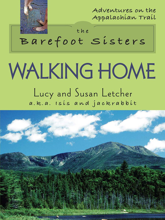 The Barefoot Sisters Walking Home - image 1