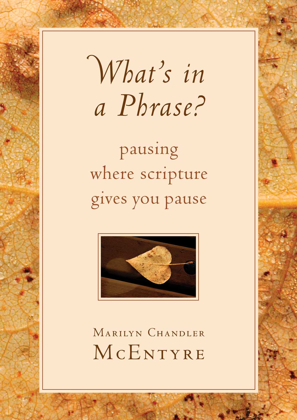 Whats in a Phrase Pausing Where Scripture Gives You Pause Marilyn Chandler - photo 1