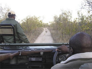 This was my view as we traveled through the South African wilderness Note the - photo 3