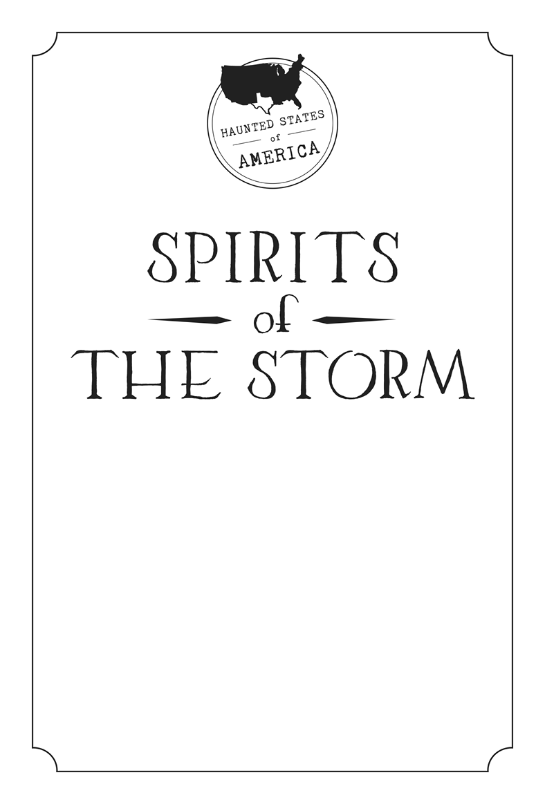 Spirits of the Storm 2019 by North Star Editions Mendota Heights MN 55120 - photo 2