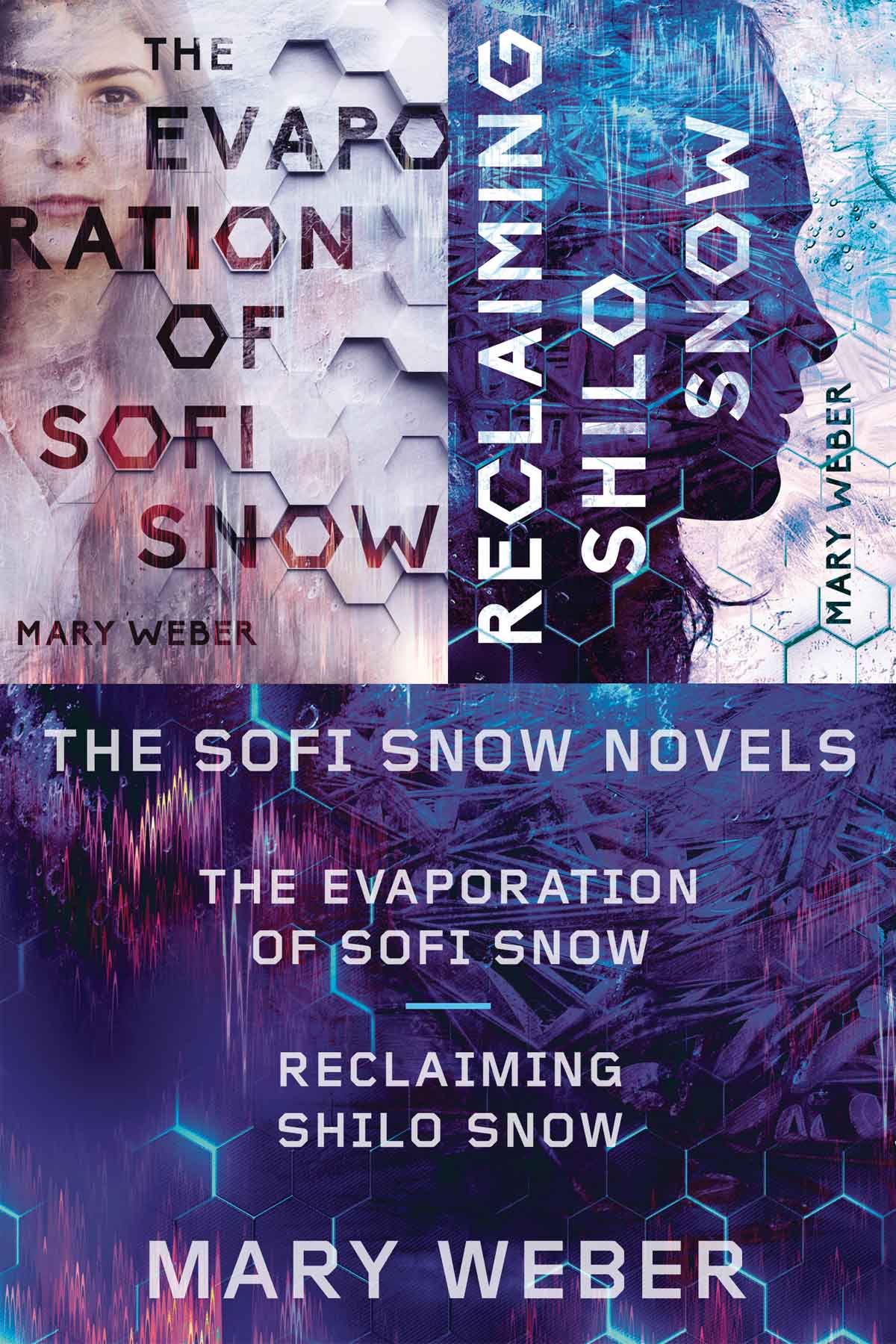 To Best the Boys Available March 2019 The Sofi Snow Novels The Evaporation of - photo 1