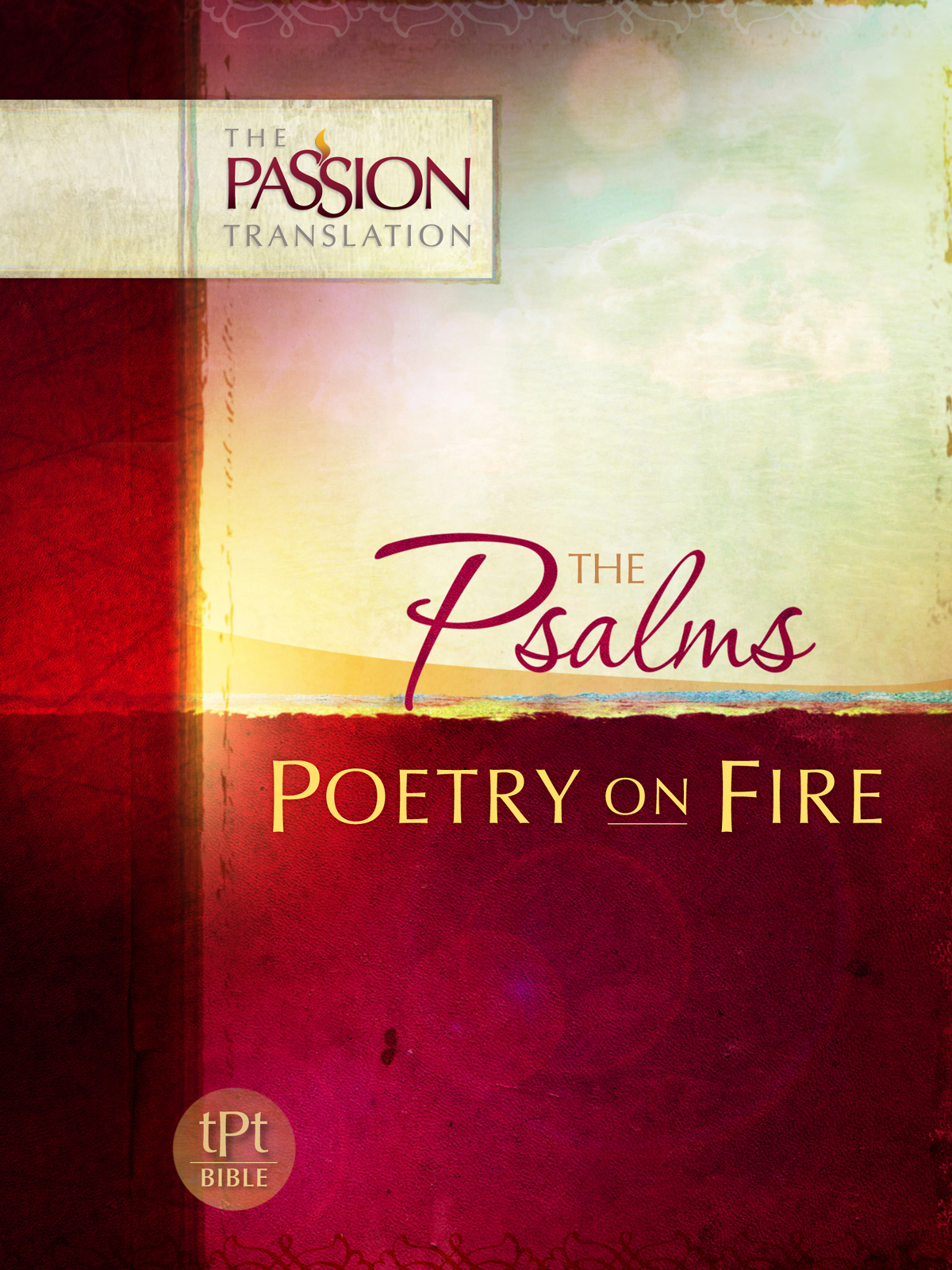 Special Edition 2-in-1 Collection of The Psalms Poetry on Fire and Proverbs - photo 2