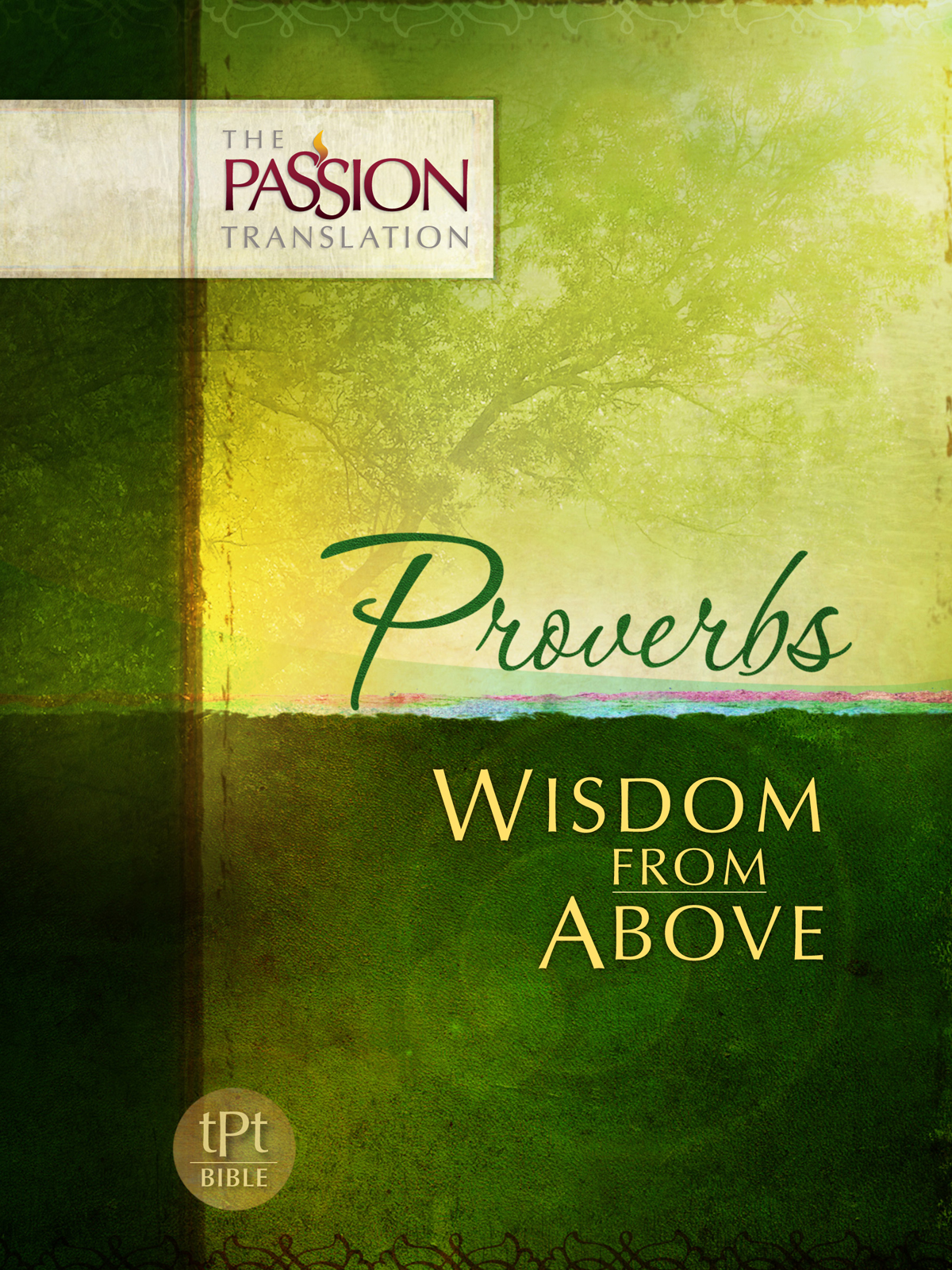 Special Edition 2-in-1 Collection of The Psalms Poetry on Fire and Proverbs - photo 3