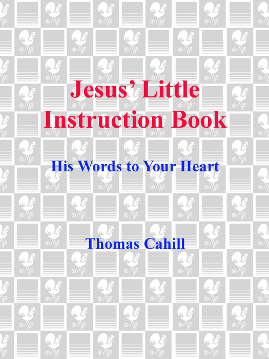 JESUS LITTLE INSTRUCTION BOOK A Bantam BookOctober 1994 All rights reserved - photo 1