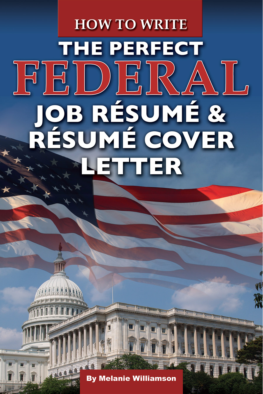 How to Write the Perfect Federal Job Rsum Rsum Cover Letter By Melanie - photo 1