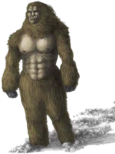 Drawing of a yeti With a human chest and body hair all over this image shows - photo 4