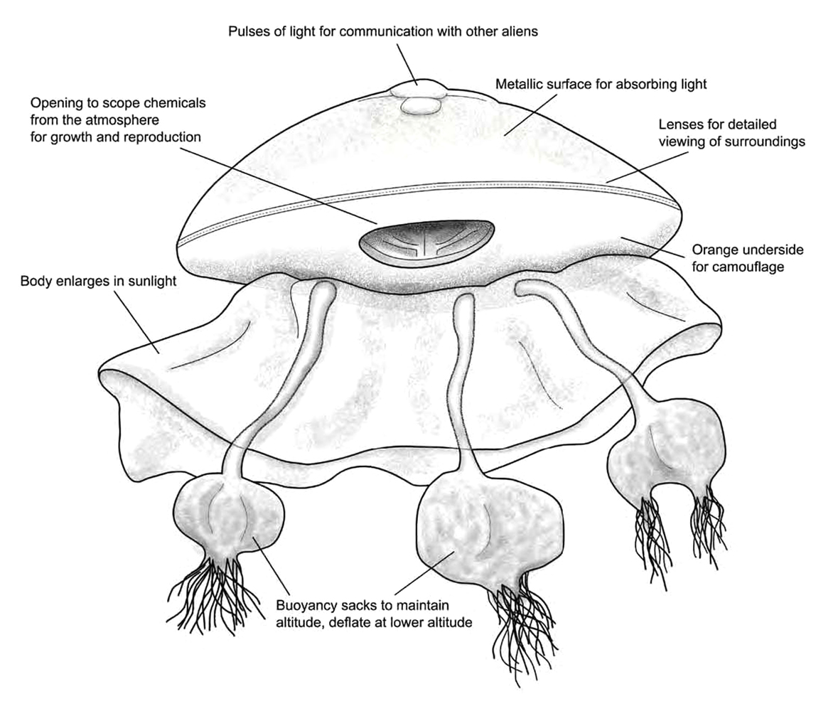 Just as Earth has life-forms that have adapted to their differing environments - photo 5