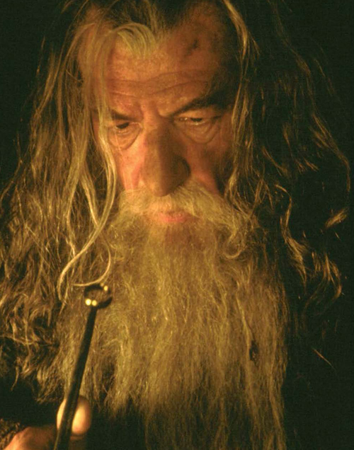 Gandalf the good wizard of The Hobbit and The Lord of the Rings books and - photo 5