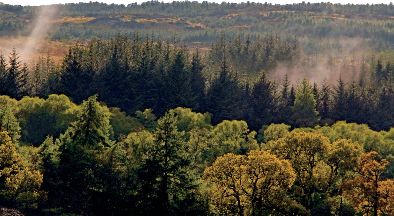 The Kintyre peninsula is heavily forested Flying by the Rules People who fly - photo 7