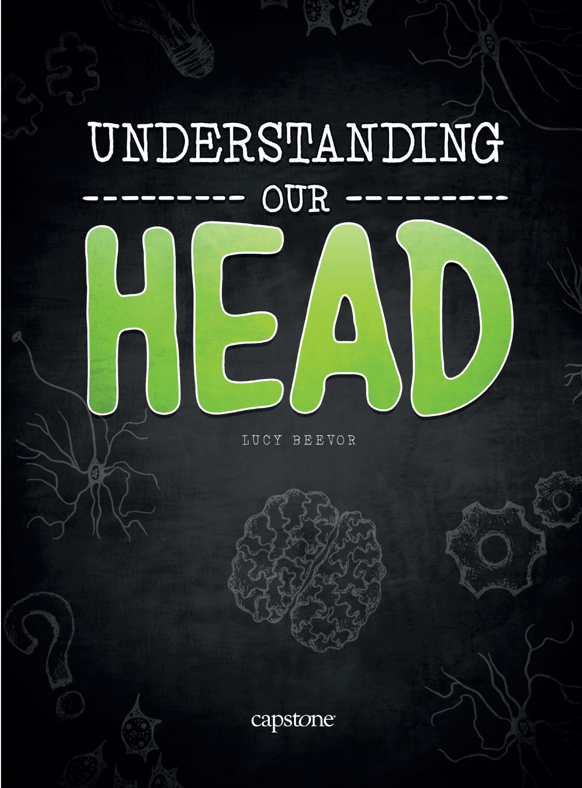 THE HUMAN HEAD Look at your face in a mirror Whats the first thing you see - photo 2