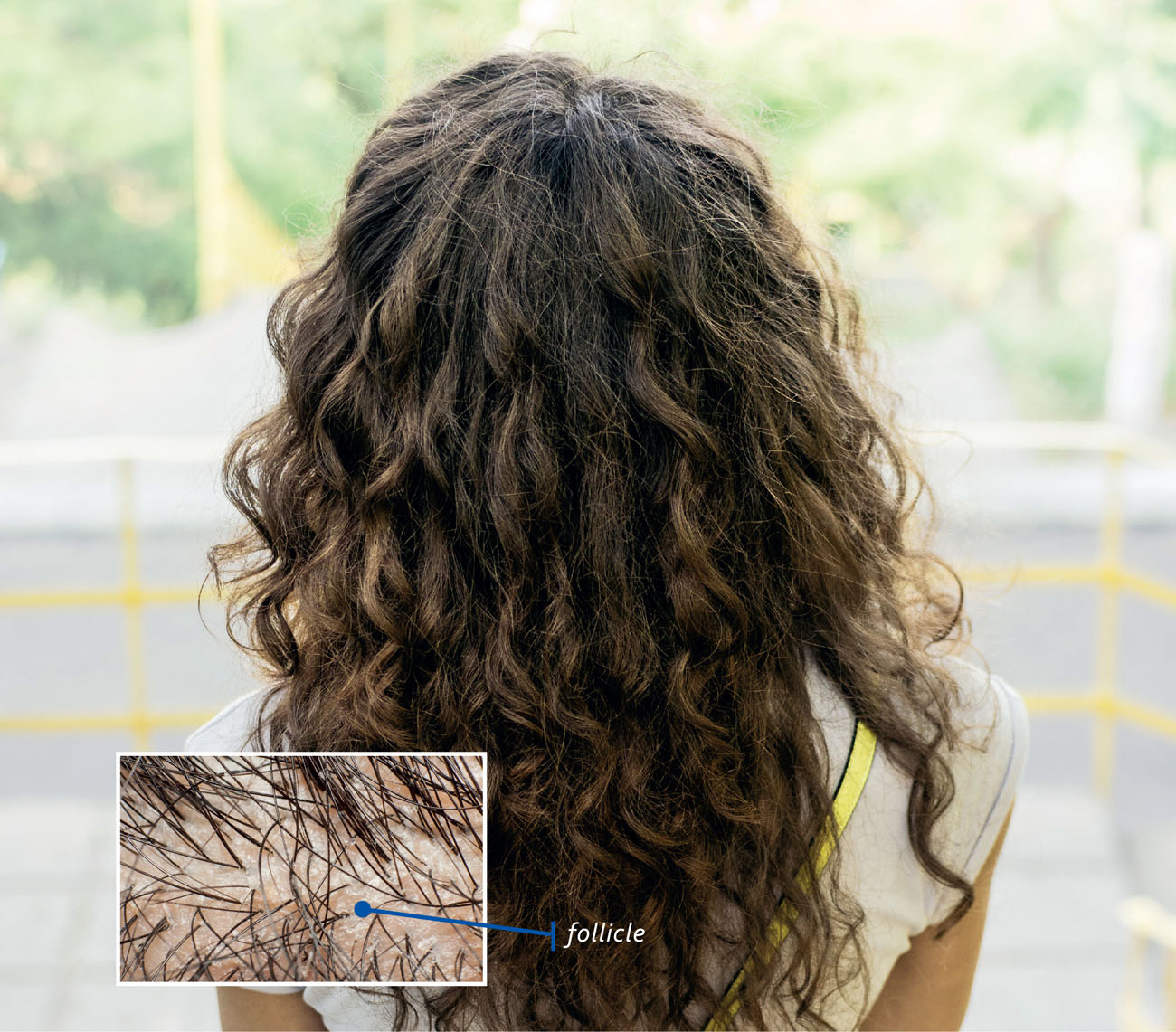 Did you know that curly hair grows from oval-shaped follicles Straight hair - photo 4