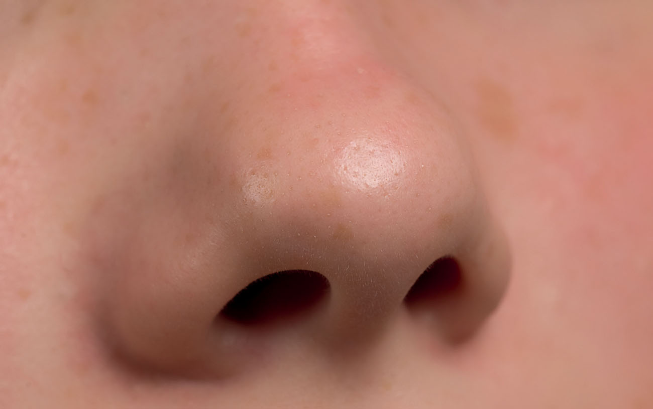 Our noses help us to taste food by sending smell signals to the brain when we - photo 8