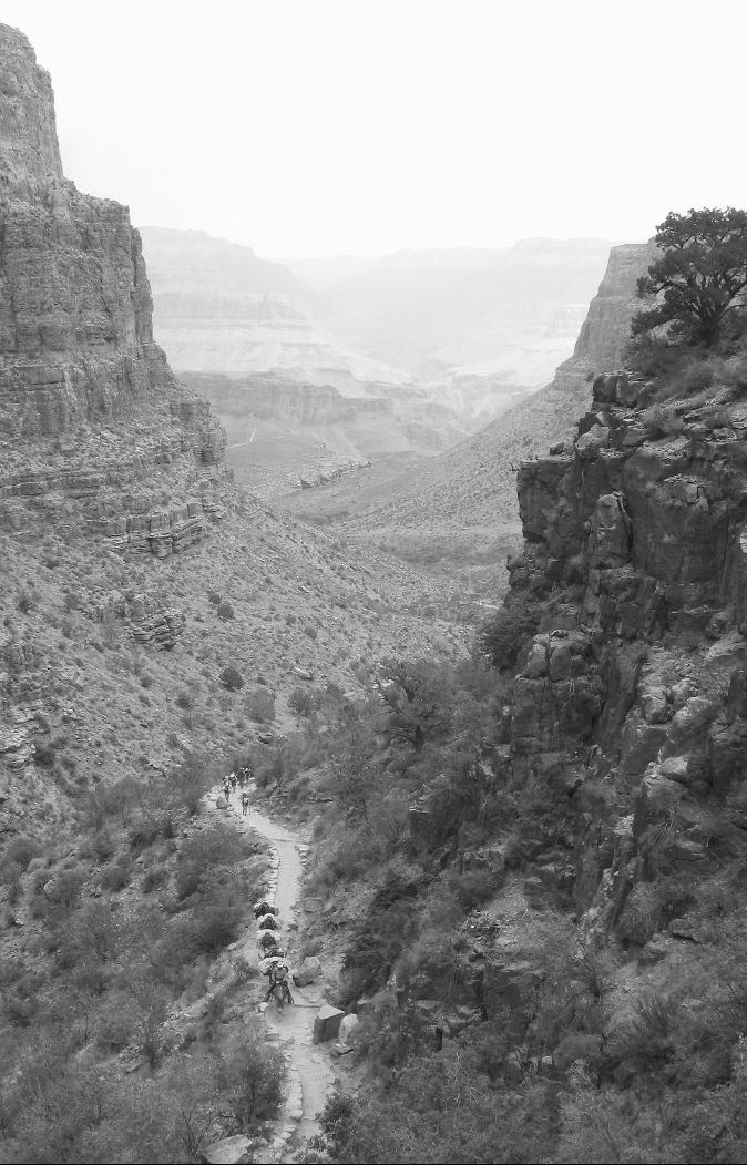 One Best Hike Grand Canyon 1st EDITION 2010 Copyright 2010 by Elizabeth - photo 3