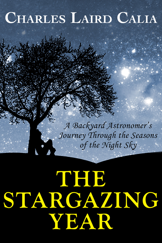 The Stargazing Year A Backyard Astronomers Journey Through the Seasons of the Night Sky - image 1