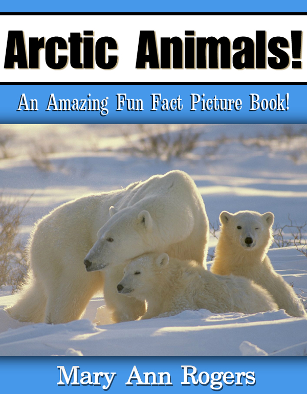ArcticAnimals AnAmazing Fun Fact PictureBook MaryAnn Rogers Table - photo 1