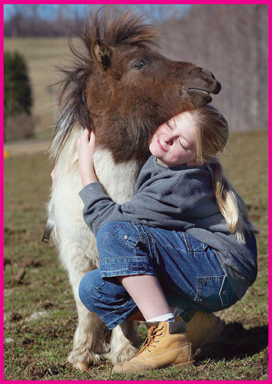 Image Credit Julie Lewis Miniature horses love company Mini horses are - photo 3