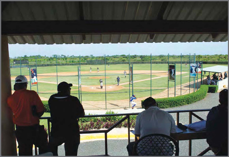 MLB scouts rely on the knowledge of buscones and local scouts to get - photo 6