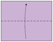 Position the paper with the long edge toward you then fold the bottom edge to - photo 2