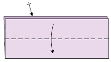 On the top layer fold the top edge down to the crease Repeat behind - photo 3