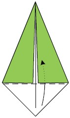 Fold the point up and slip it under the two flaps Fold the model in half - photo 12