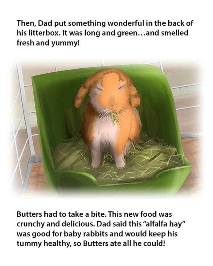 Butters Comes Home - photo 26