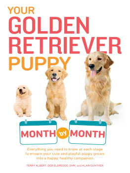 Terry Albert - Your Golden Retriever Puppy Month by Month: Everything You Need to Know at Each Stage to Ensure Your Cute and Playful Puppy Grows into a Happy, Healthy Companion