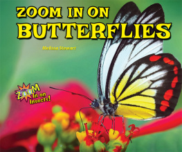 Melissa Stewart - Zoom in on Butterflies