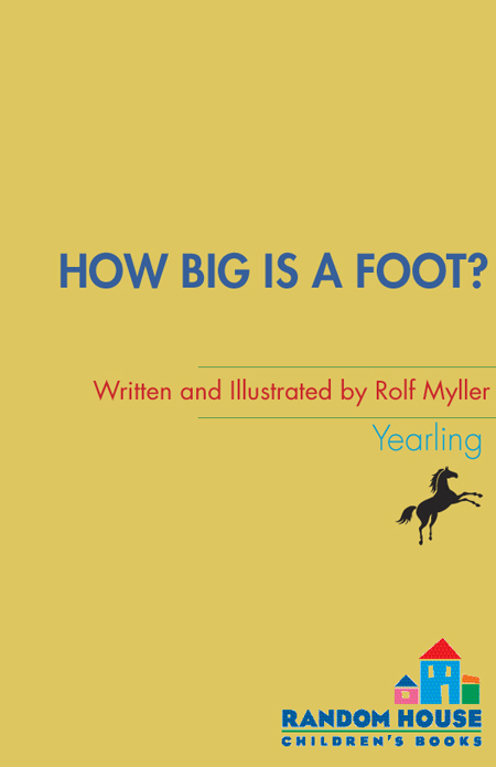 How Big Is a Foot - image 1