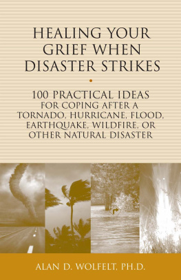 Alan D. Wolfelt Healing Your Grief When Disaster Strikes: 100 Practical Ideas for Coping After a Tornado, Hurricane, Flood, Earthquake, Wildfire, or Other Natural Disaster